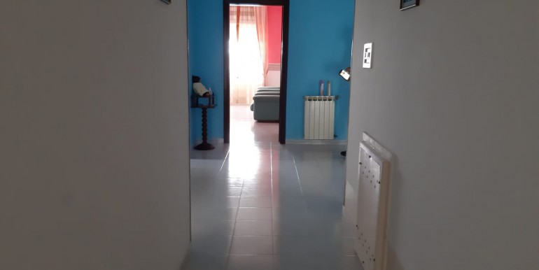 IMG-20191202-WA0019
