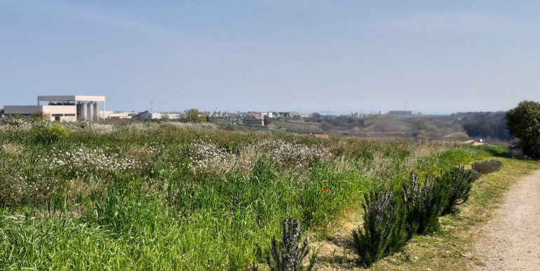 IMG-20210330-WA0025