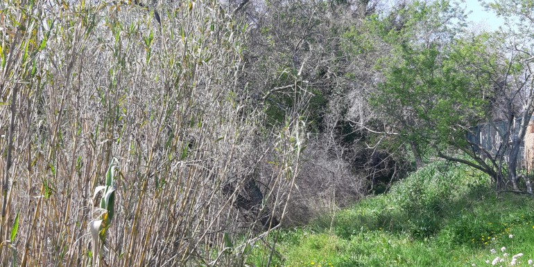 IMG-20210330-WA0030