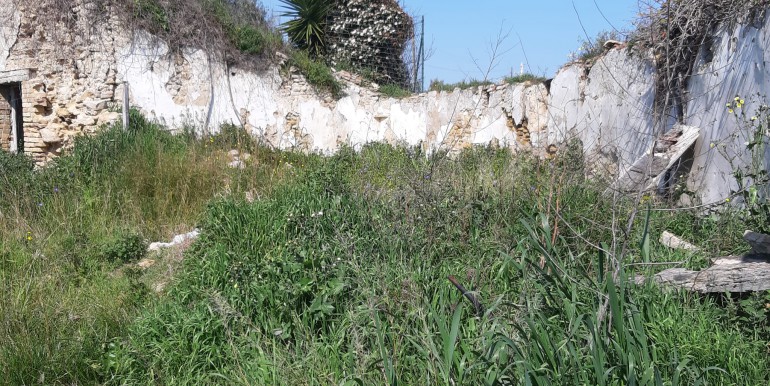 IMG-20210330-WA0031