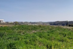 VENDESI TERRENO AGRICOLO DI 14.510 MQ IN LOC. DEFENSA