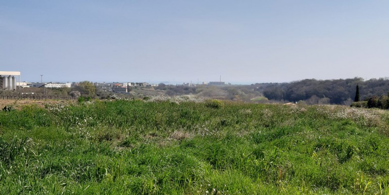 IMG-20210330-WA0036