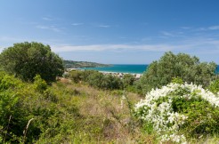 Vasto appezzamento edificabile in Loc. Montevecchio