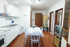 TRILOCALE DI 50 MQ A DUE PASSI DAL MARE