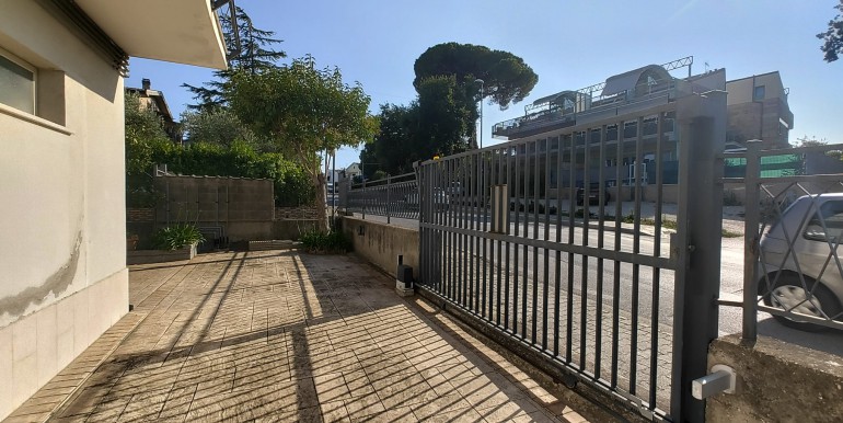 t6